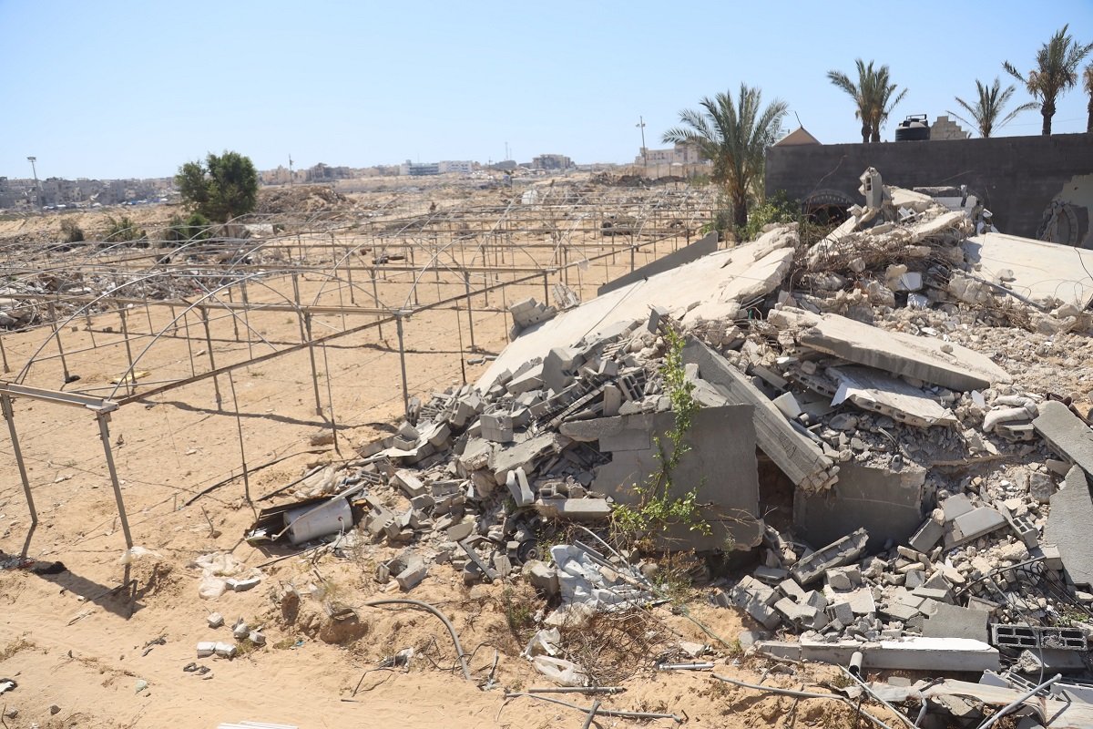 الأمم المتحدة: تضرر 87% من الأراضي الزراعية في غزة بسبب الحرب